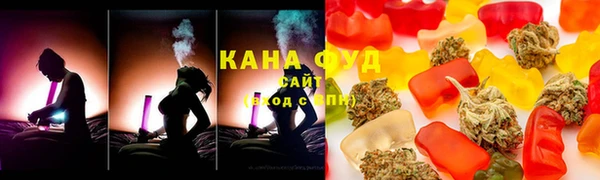 молекула духа Алексеевка